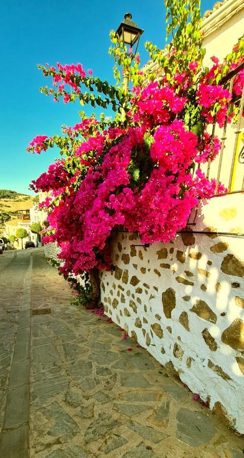 Preciosa Casa De Pueblo Entre Ronda Y Setenil La Posada De Catalina Montecorto Extérieur photo